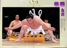 画像をギャラリービューアに読み込む, 大相撲三月場所 2010年3月[※入場券・番付表付き][スポーツパンフレット]