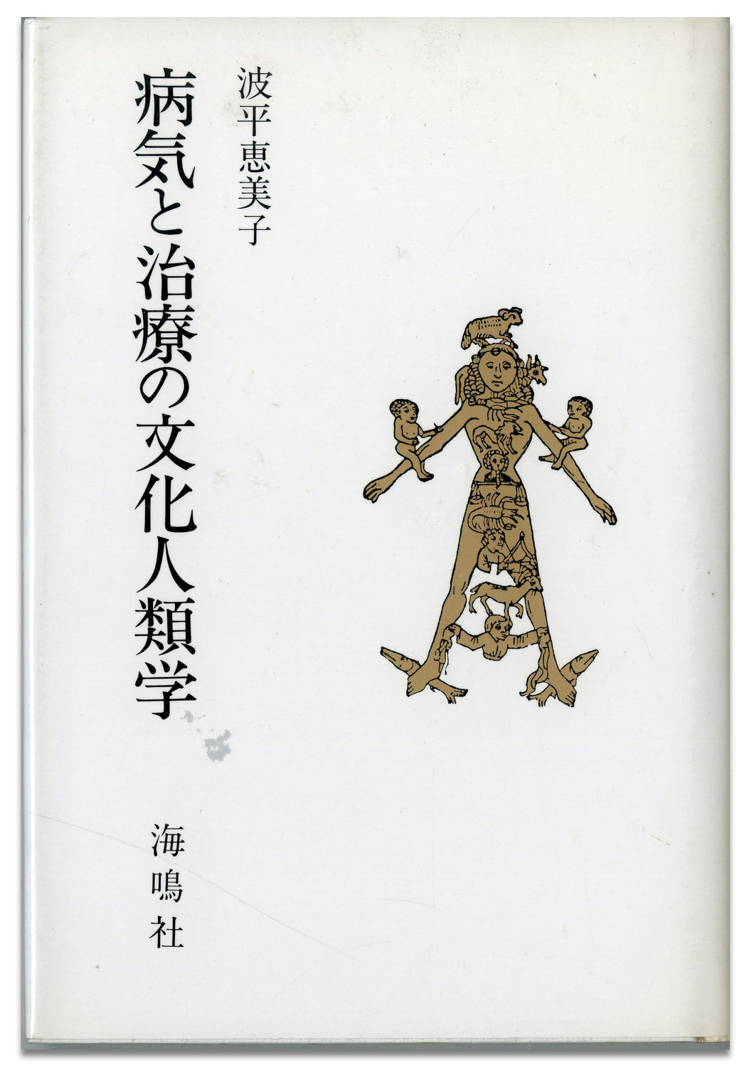病気と治療の文化人類学 ■ 著者: 波平恵美子