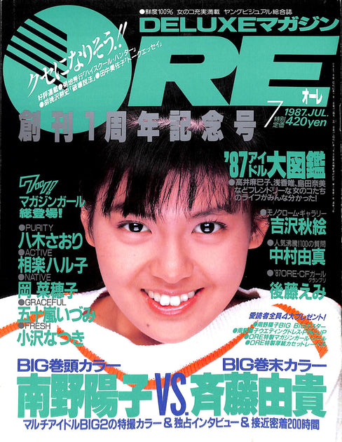 南野陽子　超大量　240P ファイル　4冊　切り抜き　1985年〜1991年 南野陽子 超大量 240P ファイル 4冊 切り抜き 1985年〜1991年 タレント