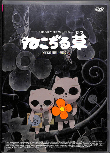 20240315223027_001_1200x630.