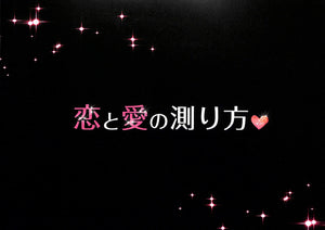 【映画パンフレット】恋と愛の測り方 (2010年 / アメリカ・フランス) キーラ・ナイト レイ サム・ワーシントン[チラシ付]