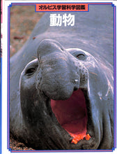 画像をギャラリービューアに読み込む, オルビス学習科学図鑑 全8巻セット (学習研究社)