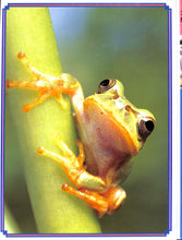 画像をギャラリービューアに読み込む, オルビス学習科学図鑑 全8巻セット (学習研究社)