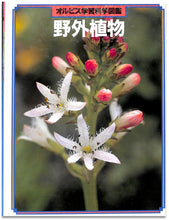 画像をギャラリービューアに読み込む, オルビス学習科学図鑑 全8巻セット (学習研究社)