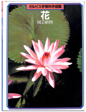 画像をギャラリービューアに読み込む, オルビス学習科学図鑑 全8巻セット (学習研究社)