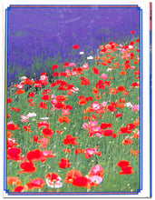 画像をギャラリービューアに読み込む, オルビス学習科学図鑑 全8巻セット (学習研究社)