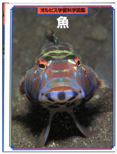 画像をギャラリービューアに読み込む, オルビス学習科学図鑑 全8巻セット (学習研究社)