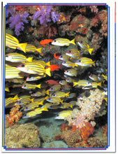 画像をギャラリービューアに読み込む, オルビス学習科学図鑑 全8巻セット (学習研究社)