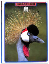 画像をギャラリービューアに読み込む, オルビス学習科学図鑑 全8巻セット (学習研究社)