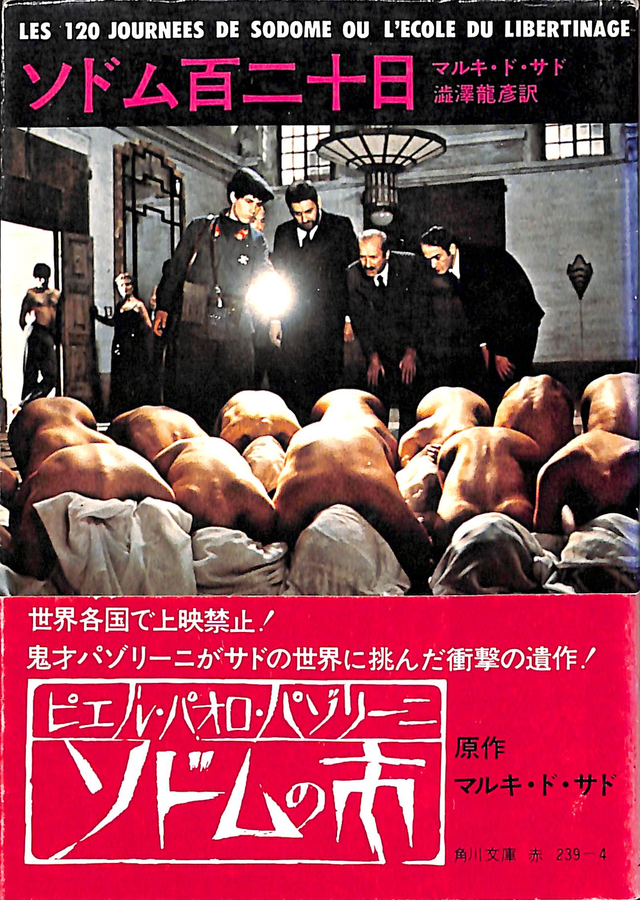 フィンランド現代政治史   /早稲田大学出版部/マルッティ・ハイキオ（単行本） Amazon.co.jp: マルッティ ハイキオ: 本
