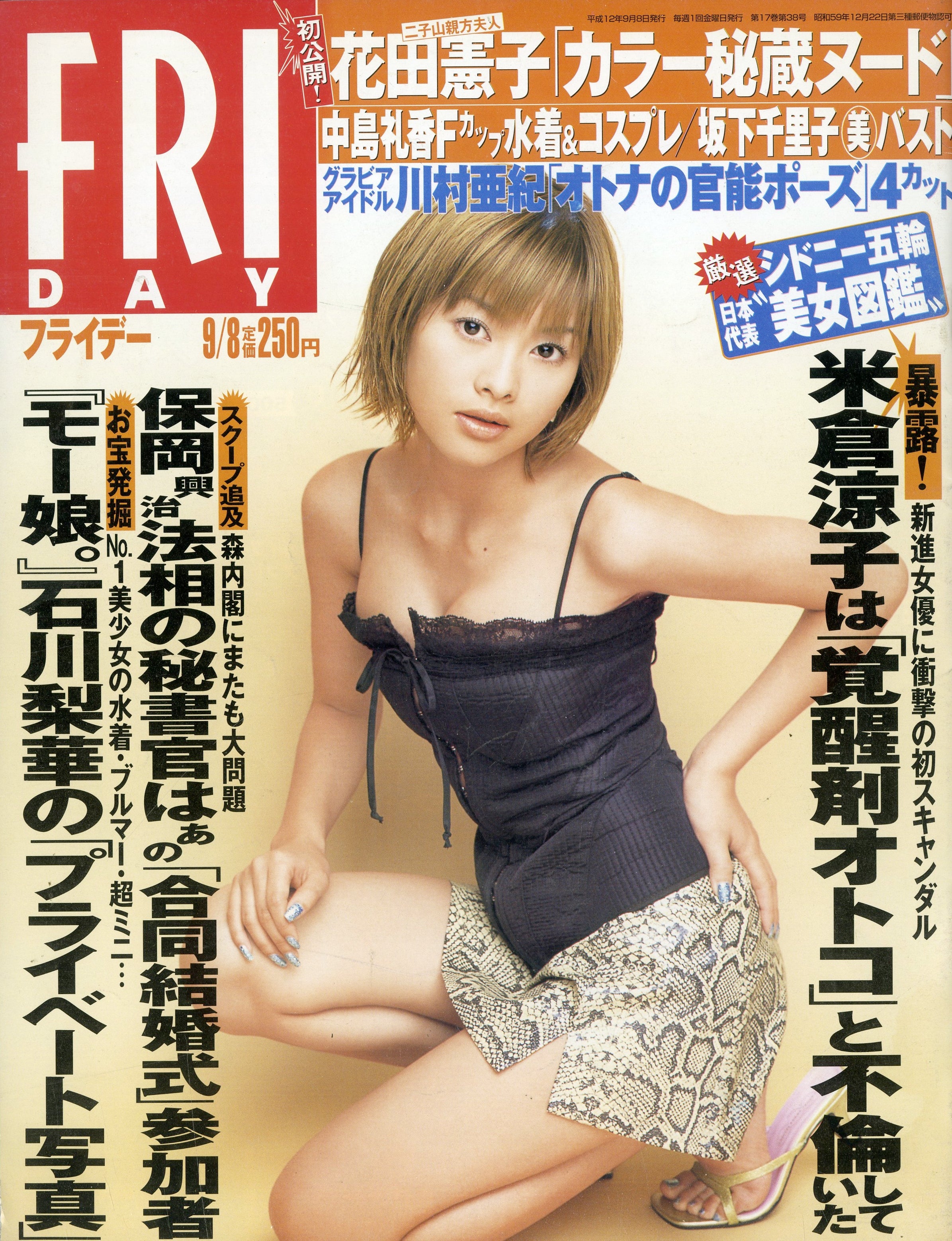 東ちづるヌード水野真紀アイコラ 逝き予知夢』～芸能記者・朧和輝～」Masahiro_Narita（小説, 破滅派, 2018年）