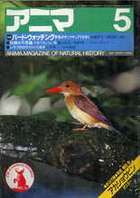 画像をギャラリービューアに読み込む, アニマ 1983年5月号 特集:バード・ウォッチング 野鳥のサンクチュアリを歩く