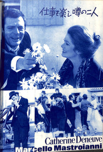 SCREEN (スクリーン) 1971年 6月号 表紙:アリー・マッグロー キャサリン・ロス ジャクリーン・ビセット カトリーヌ・ドヌーヴ オリビア・ハッセー　