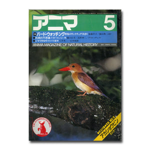 アニマ 1983年5月号 特集:バード・ウォッチング 野鳥のサンクチュアリを歩く