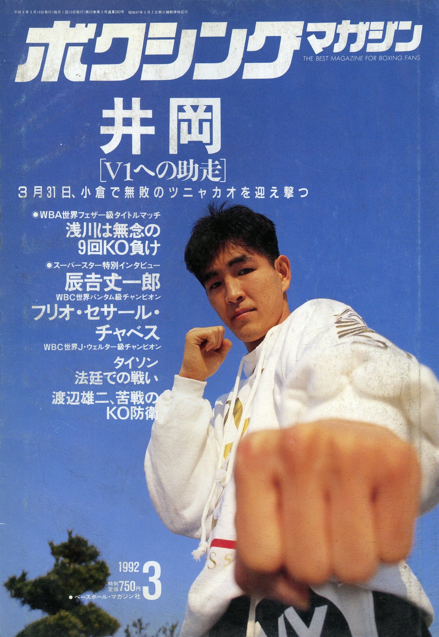 ボクシングマガジン 1992年1月～12月セットと増刊号-